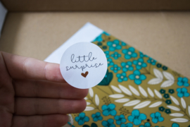 Sluitsticker | little surprise | hartje