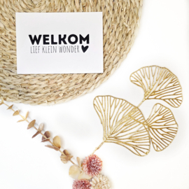 Welkom lief klein wonder