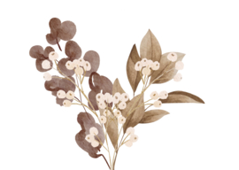 Brown flowers