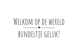 Welkom op de wereld bundeltje geluk