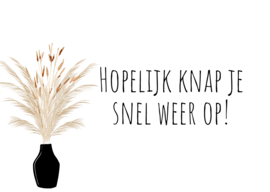 Hopelijk knap je snel weer op!