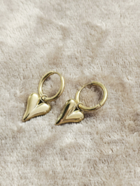 Oorringentjes met Trending Heart