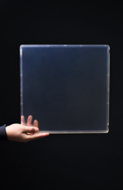 VNYL case