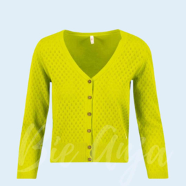 Vestje - Cardigan Sweet Petite - traditional green knit