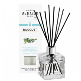 Lampe Berger - Parfumverspreider Bouquet  Fraicheur D'eucalyptus  / Fresh Eucalyptus  8 geursticks