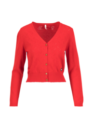 Vest Save the World - Stunningly red knit