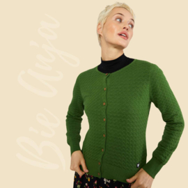 Vestje - Cardigan Save the Brave - mushroom green knit