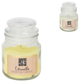 Geurkaars in pot citronella