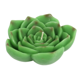 Kaars Waterlelie Groen