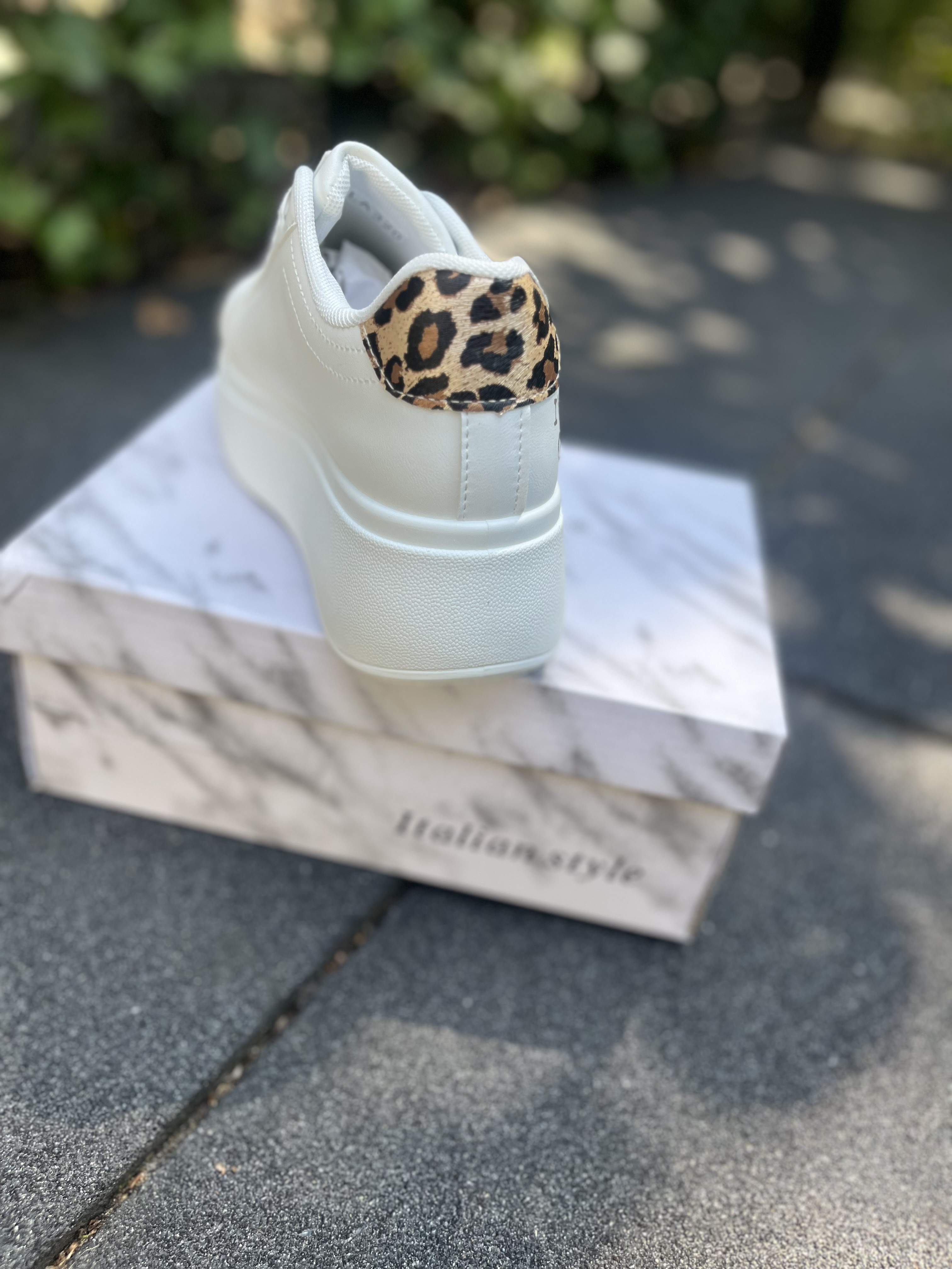 Leopard white