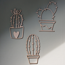 Cactussen set van 3