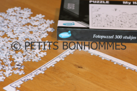 PUZZEL 300 STUKJES *Petits Bonhommes*