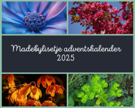 Adventskalender 2025