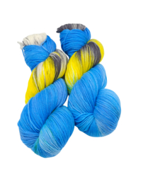 Blauw gele ara