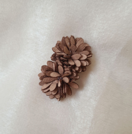 Plums - Brown