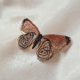 Butterfly Special -  Autumn