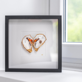 You give me butterflies