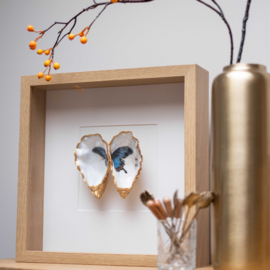 Vlinder | Blauw | Zwart