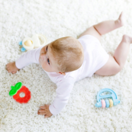 Canpol Babies Fruit  bijtring voor baby's - 3+ maanden