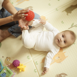 Bacioland Sensorische textuurballen - Set van 5- 6m+
