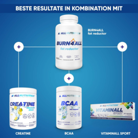 ALLNUTRITION | Burn4all fat reductor | 100 Capsules | Energy  |  Metabolism  | Fatburner |
