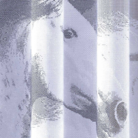 Wisan Paarden Gordijn 250x150 cm - Curtains  - Jacquardgordijnen-wit-