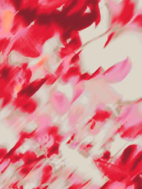 Signature blouson shirt 219771