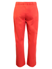 Signature broek 219866