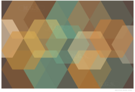 BEEHIVE | Midcentury Graphic Studio | Werk op aluminium mat wit