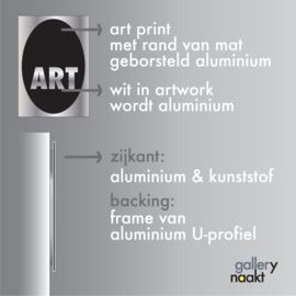 BIRDY (black) | Caspar Luuk | Art print op mat zilver aluminium