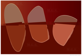 BRIDGE (burgundy) | Midcentury Graphic Studio | Werk op aluminium mat wit