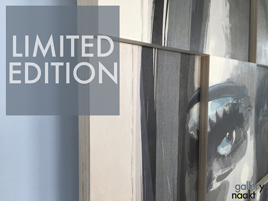 Exclusieve Limited Edition kunstwerken, art prints, wanddecoraties en canvassen. Digitaal geschilderd door Caspar Luuk..