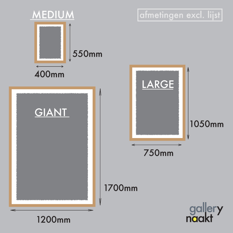 Formaten en verhoudingen van kunstwerken met een art print op canvas ingelijst