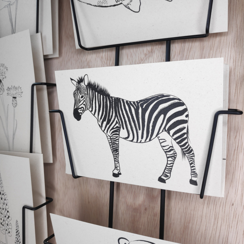 Postkaart Zebra
