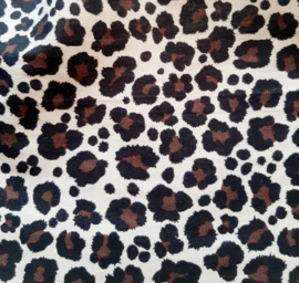 Cheetah - Medium