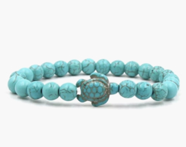 Schildpad Howlit - Turquoise