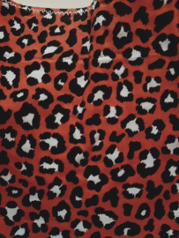 Cheetah Roest - Medium