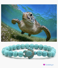 Schildpad Howlit - Turquoise