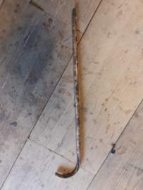 Wandelstok