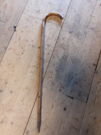 Wandelstok