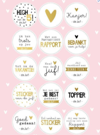 Stickervel Juf