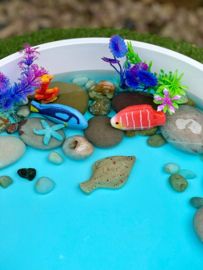 Sensorische speelstenen, Vissen