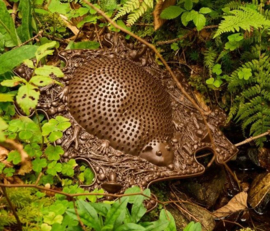 Muffik set sensorische orthopedische matten, Natuur