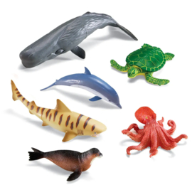 Jumbo Zeedieren, set van 6