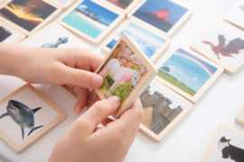 Tickit houten verhaaltegels