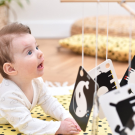 Banana Panda Hoog contrast flitskaarten aan ring 3m+