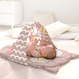 Babygym uil Oscar