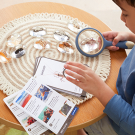 Doorzichtige ontdekstenen - Zeedieren