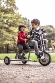 Duodriewieler Alutrike