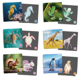 Maxi memorie Gewervelde dieren en hun skeletten